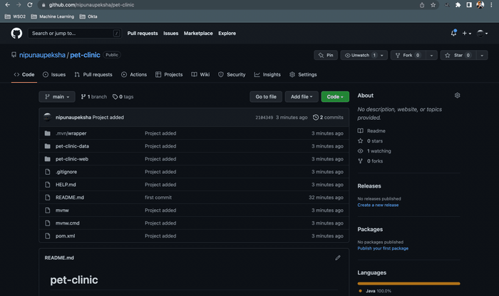 github commit project