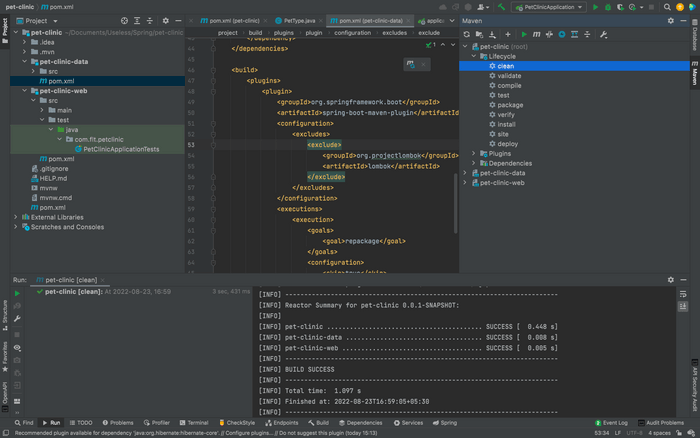 multi module project
